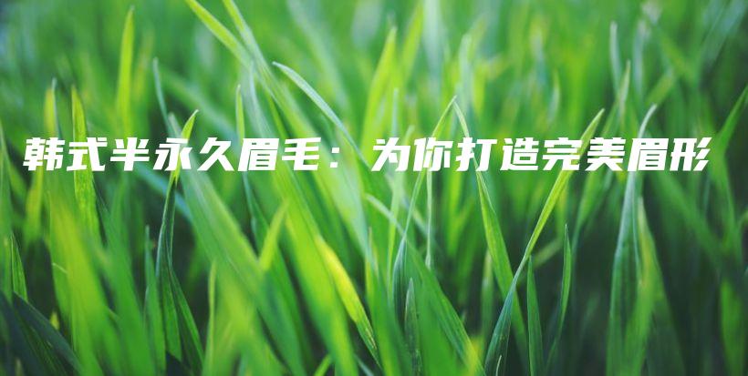 韓式半永久眉毛：為你打造完美眉形插圖