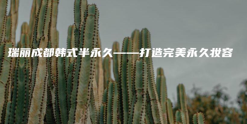 瑞麗成都韓式半永久——打造完美永久妝容插圖