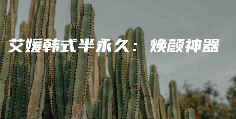 艾媛韓式半永久：煥顏神器插圖