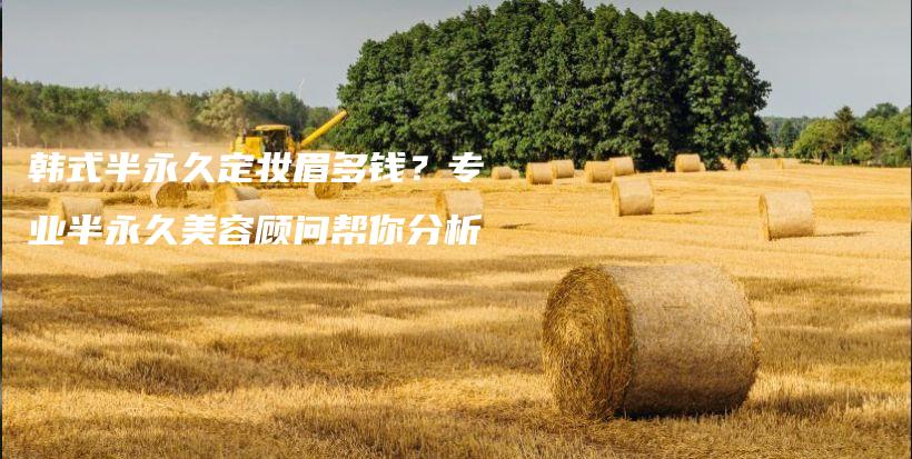 韓式半永久定妝眉多錢？專業(yè)半永久美容顧問幫你分析插圖