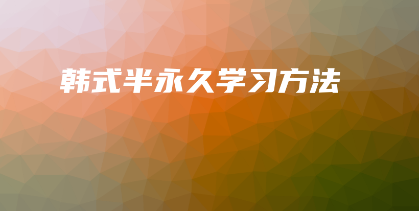 韓式半永久學(xué)習(xí)方法插圖
