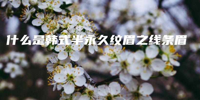 什么是韓式半永久紋眉之線條眉 – Anne美學(xué)插圖4
