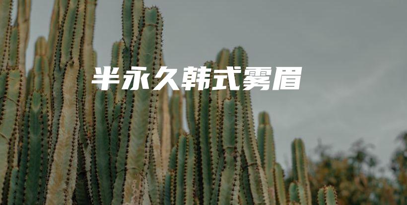 半永久韓式霧眉插圖