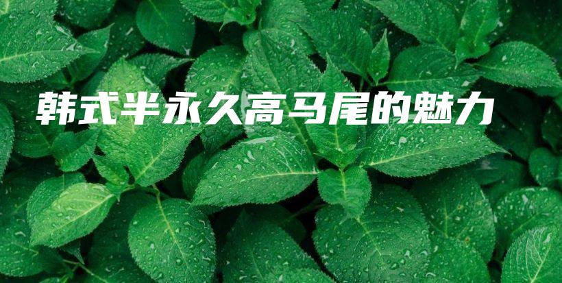 韓式半永久高馬尾的魅力插圖