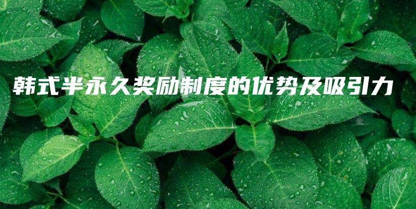 韓式半永久獎(jiǎng)勵(lì)制度的優(yōu)勢(shì)及吸引力插圖