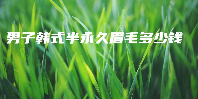 男子韓式半永久眉毛多少錢插圖