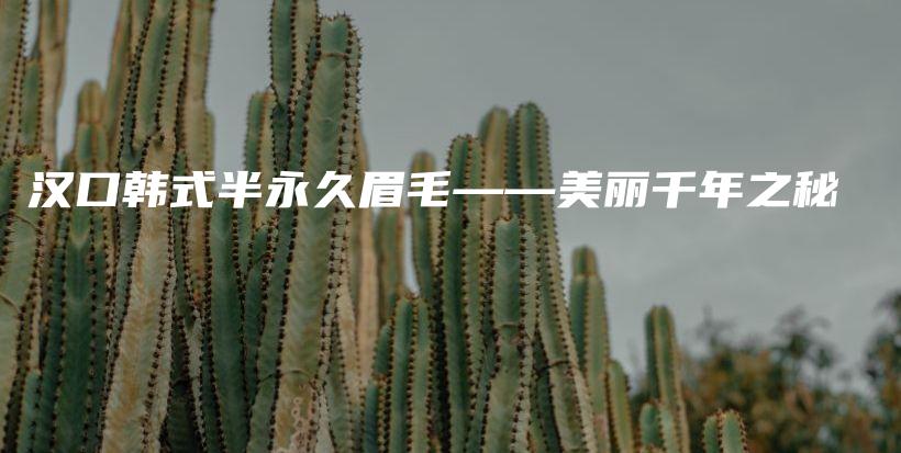 漢口韓式半永久眉毛——美麗千年之秘插圖