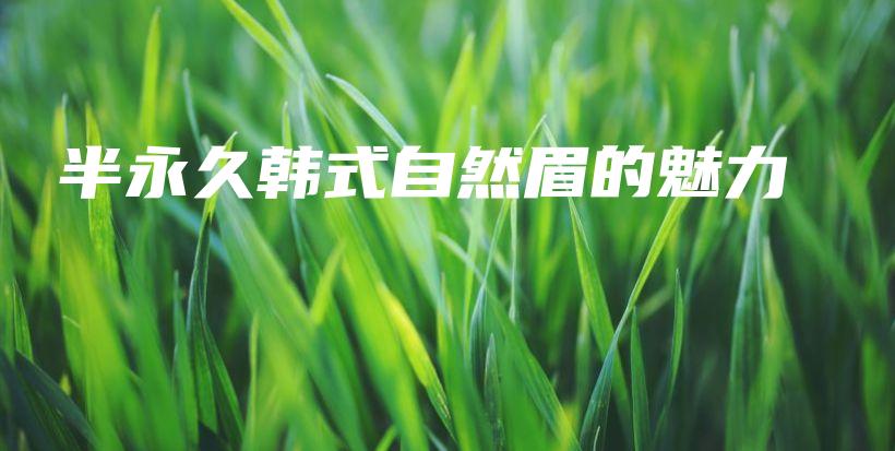 半永久韓式自然眉的魅力插圖