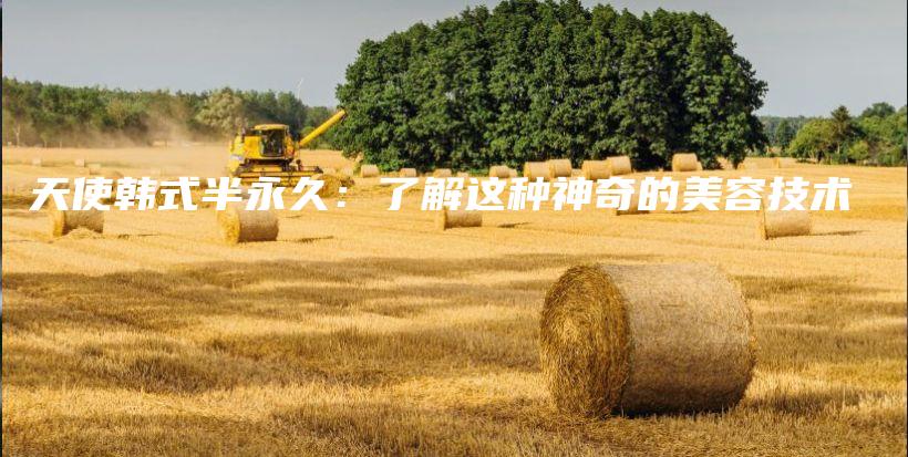 天使韓式半永久：了解這種神奇的美容技術(shù)插圖