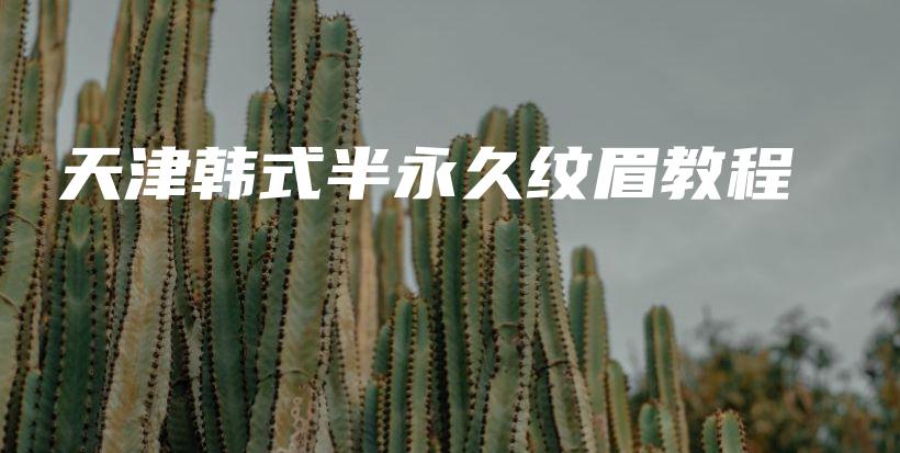 天津韓式半永久紋眉教程插圖