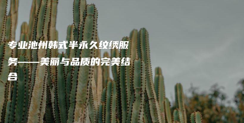 專業(yè)池州韓式半永久紋繡服務——美麗與品質的完美結合插圖