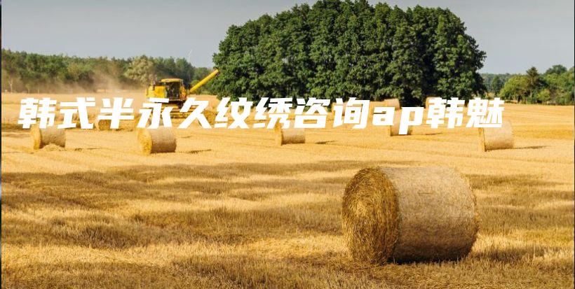 韓式半永久紋繡咨詢ap韓魅插圖