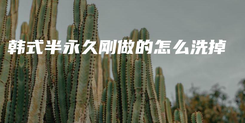 韓式半永久剛做的怎么洗掉插圖