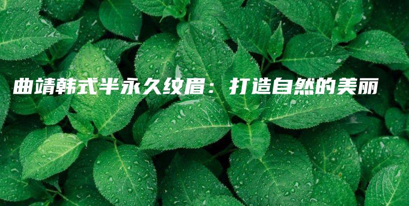 曲靖韓式半永久紋眉：打造自然的美麗插圖