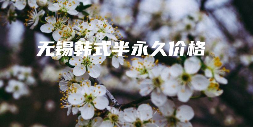 無(wú)錫韓式半永久價(jià)格插圖