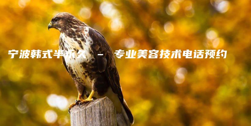 寧波韓式半永久 – 專業(yè)美容技術(shù)電話預(yù)約插圖
