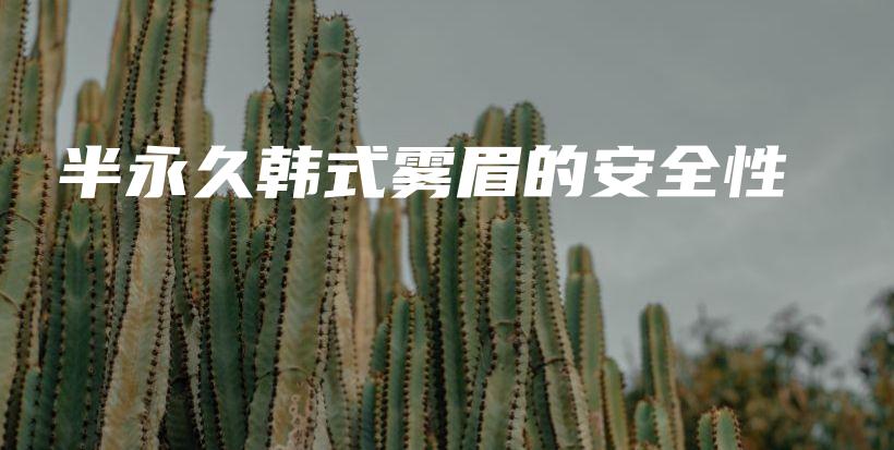 半永久韓式霧眉的安全性插圖