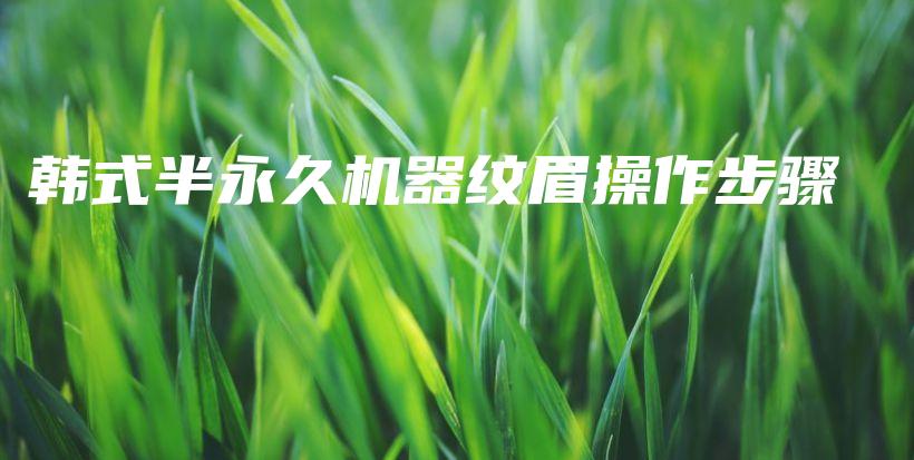 韓式半永久機(jī)器紋眉操作步驟插圖