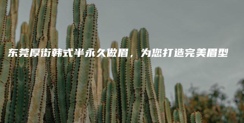 東莞厚街韓式半永久做眉，為您打造完美眉型插圖