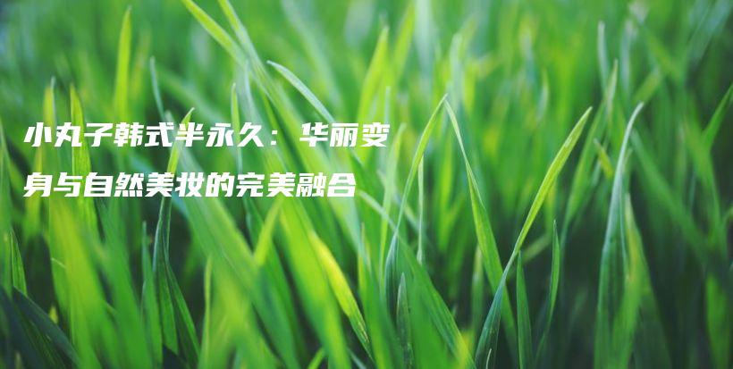 小丸子韓式半永久：華麗變身與自然美妝的完美融合插圖