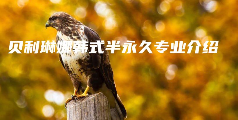 貝利琳娜韓式半永久專業(yè)介紹插圖