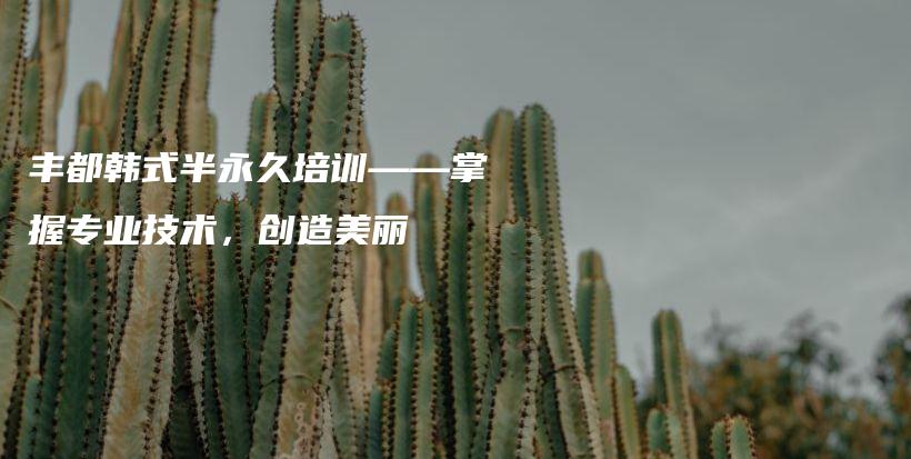 豐都韓式半永久培訓(xùn)——掌握專業(yè)技術(shù)，創(chuàng)造美麗插圖