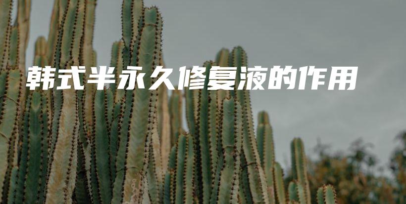 韓式半永久修復(fù)液的作用插圖