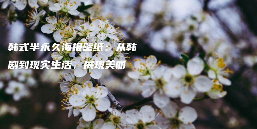 韓式半永久海報壁紙：從韓劇到現(xiàn)實生活，展現(xiàn)美麗插圖
