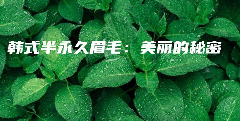 韓式半永久眉毛：美麗的秘密插圖