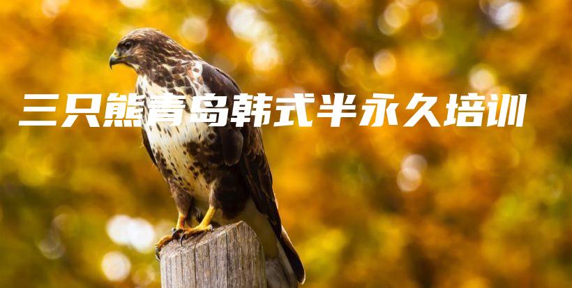 三只熊青島韓式半永久培訓插圖