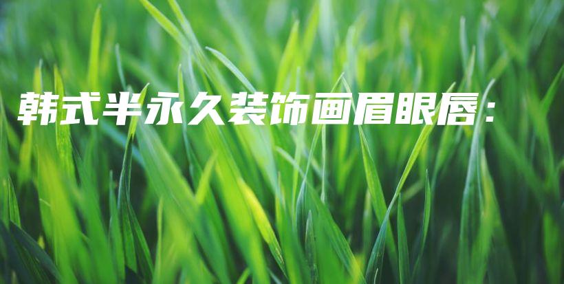 韓式半永久裝飾畫眉眼唇：插圖