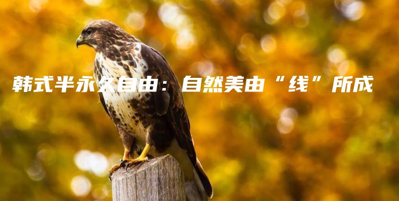 韓式半永久自由：自然美由“線”所成插圖