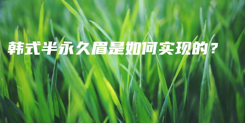 韓式半永久眉是如何實(shí)現(xiàn)的？插圖