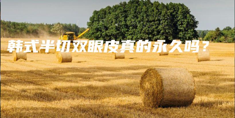 韓式半切雙眼皮真的永久嗎？插圖