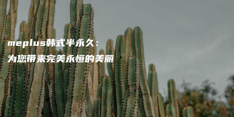 meplus韓式半永久：為您帶來完美永恒的美麗插圖