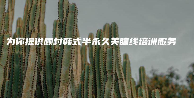 為你提供顧村韓式半永久美瞳線培訓服務(wù)插圖