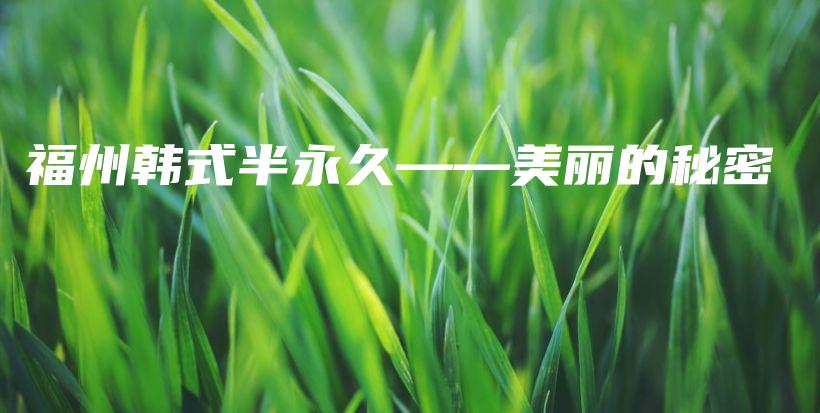 福州韓式半永久——美麗的秘密插圖