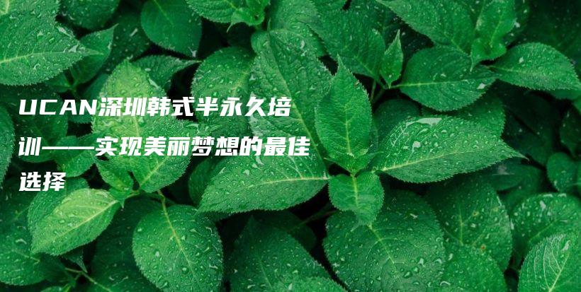 UCAN深圳韓式半永久培訓(xùn)——實現(xiàn)美麗夢想的最佳選擇插圖