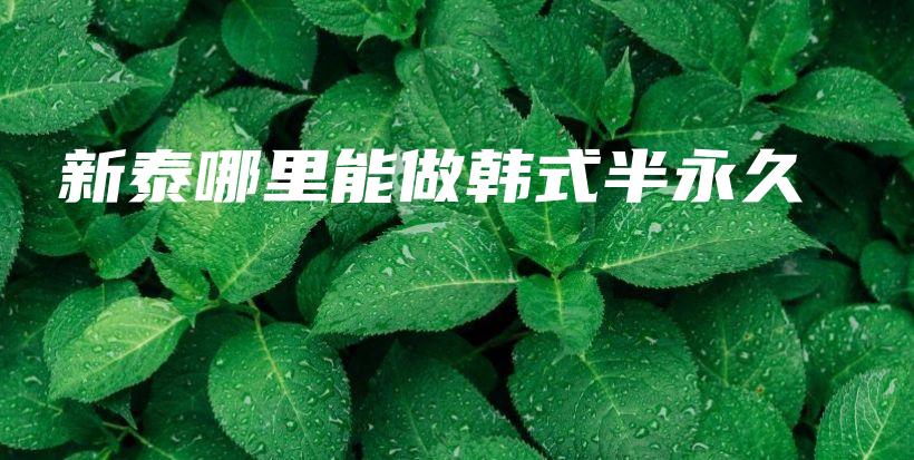 新泰哪里能做韓式半永久插圖