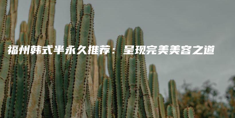 福州韓式半永久推薦：呈現(xiàn)完美美容之道插圖