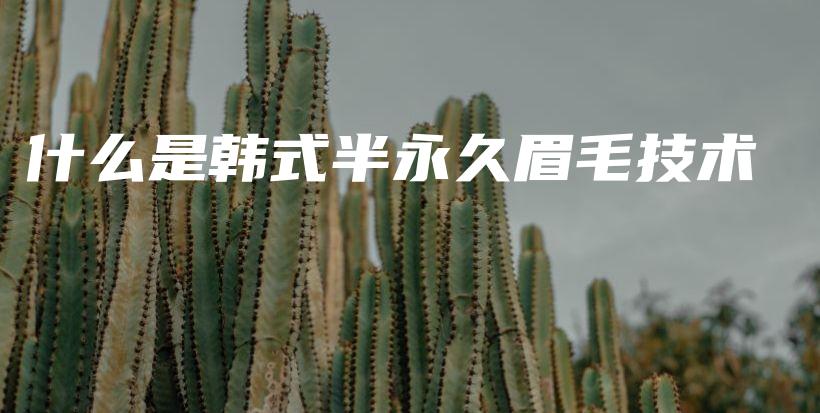什么是韓式半永久眉毛技術(shù)插圖