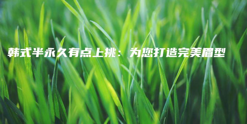 韓式半永久有點(diǎn)上挑：為您打造完美眉型插圖