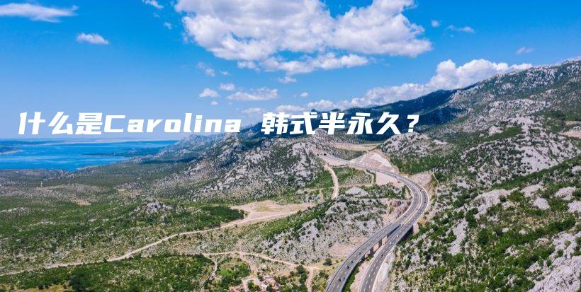 什么是Carolina 韓式半永久？插圖