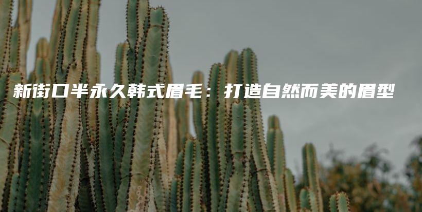 新街口半永久韓式眉毛：打造自然而美的眉型插圖