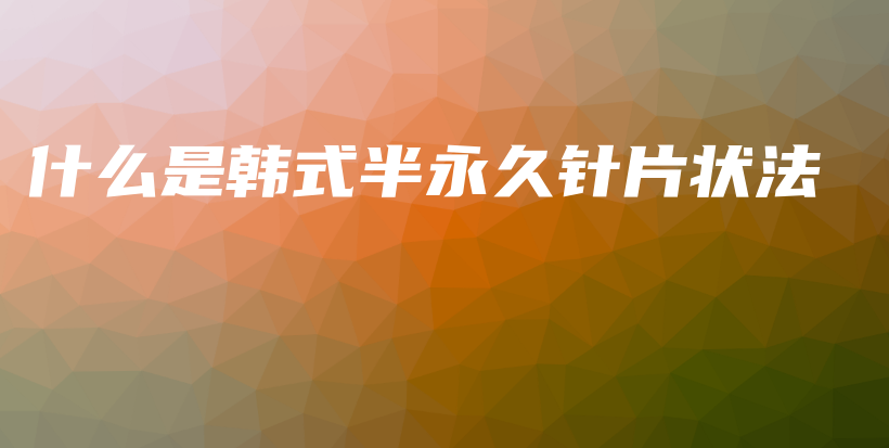 什么是韓式半永久針片狀法插圖