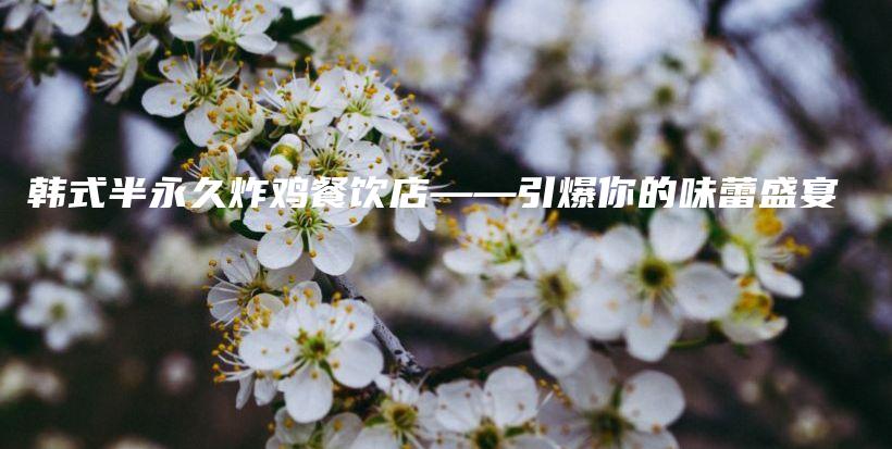 韓式半永久炸雞餐飲店——引爆你的味蕾盛宴插圖