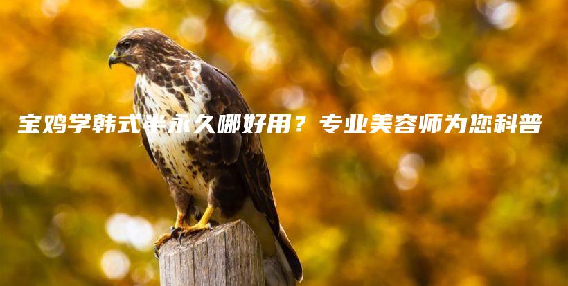 寶雞學(xué)韓式半永久哪好用？專業(yè)美容師為您科普插圖