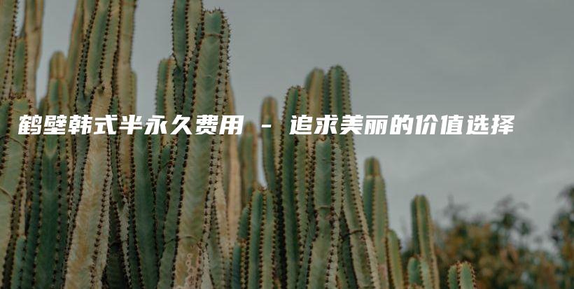 鶴壁韓式半永久費用 – 追求美麗的價值選擇插圖