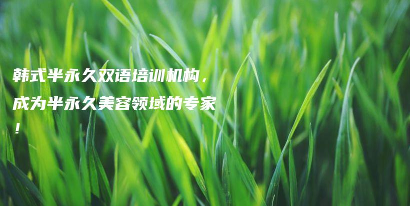 韓式半永久雙語培訓(xùn)機(jī)構(gòu)，成為半永久美容領(lǐng)域的專家！插圖