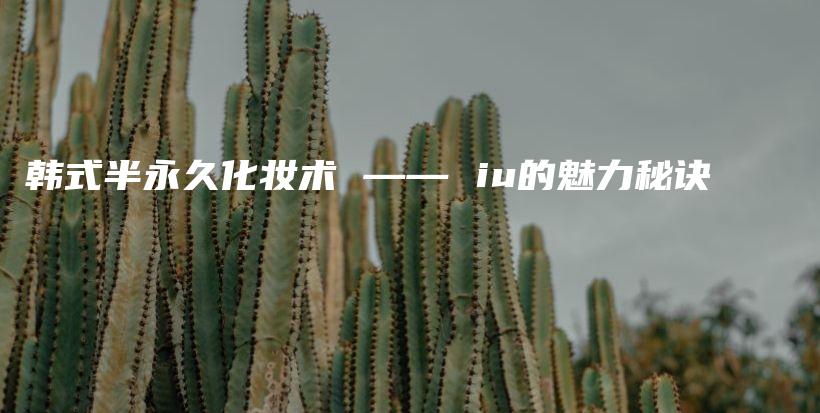 韓式半永久化妝術(shù) —— iu的魅力秘訣插圖